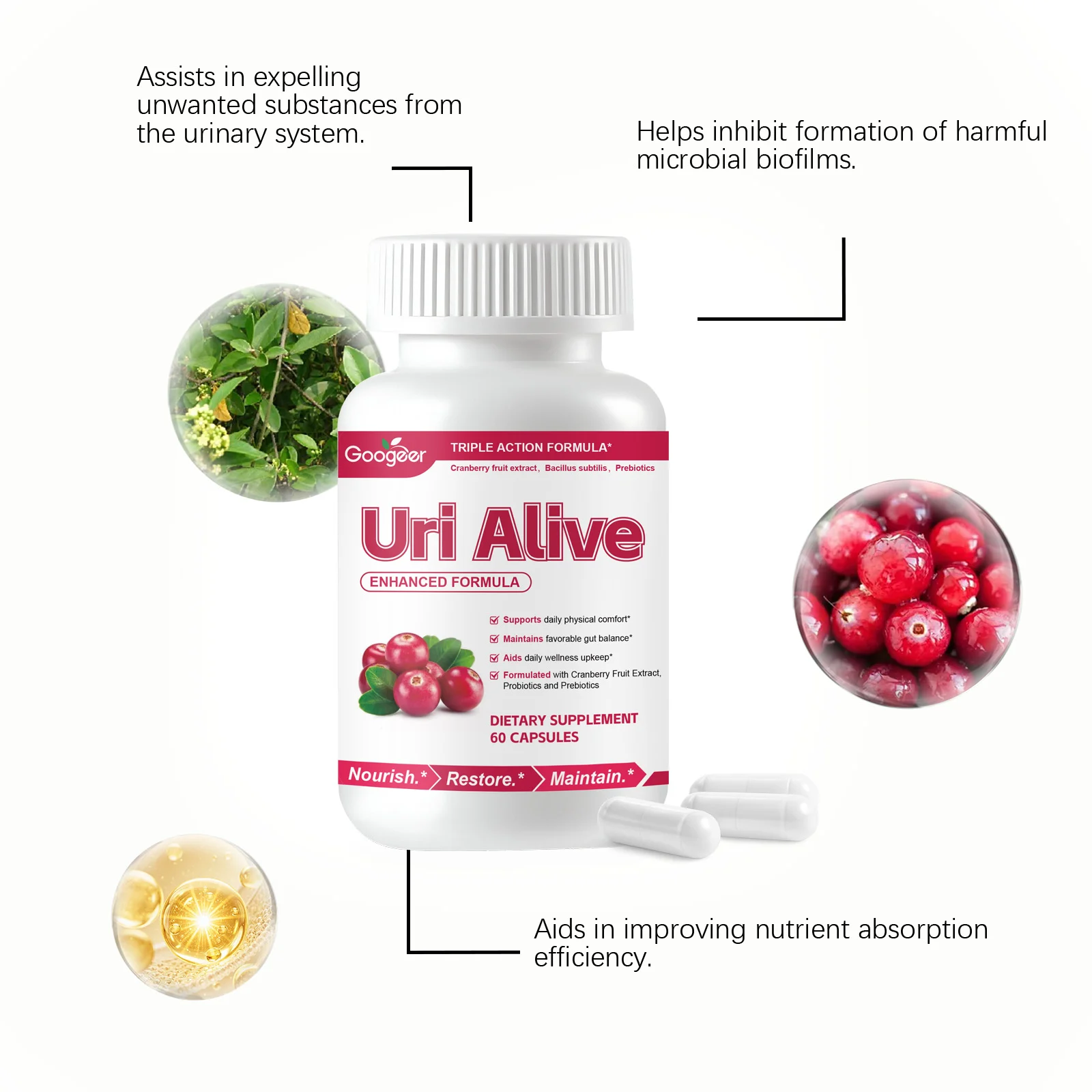 Googeer Triple Action Body Care Capsules for Urinary & Gut Health 14 body care capsules goo jhq2b7u5 desc 7