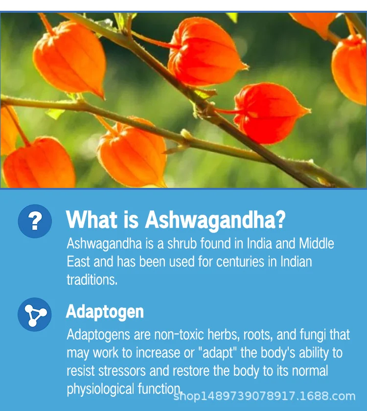 Ashwagandha Gummies for Stress Relief and Mood Support with Maca Root & Vitamin D2 - 60 Vegan Blueberry Gummies 9 ashwagandha gummies maca root stress relief goo 5yqedg52 desc 3