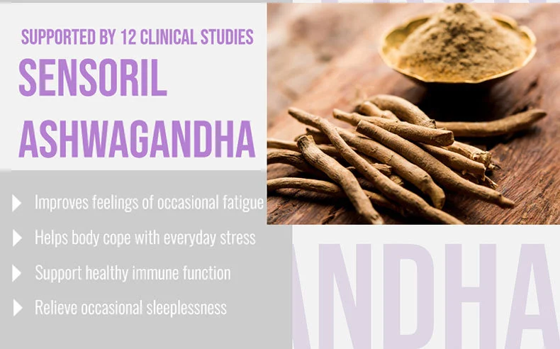 Ashwagandha and Saffron Capsules for Stress Relief, Mood Support & Improved Sleep - 30 Veggie Capsules 6 ashwagandha saffron capsules stress relief mood focus goo 3mjfksbv desc 3
