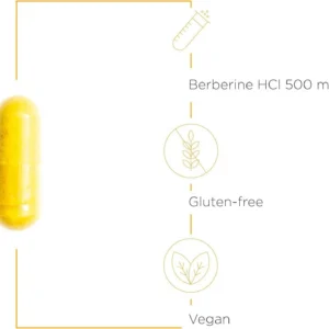 Integrative Therapeutics Berberine HCl 500mg capsules with Ashwagandha and Suntheanine for metabolic health and stress hormone balance