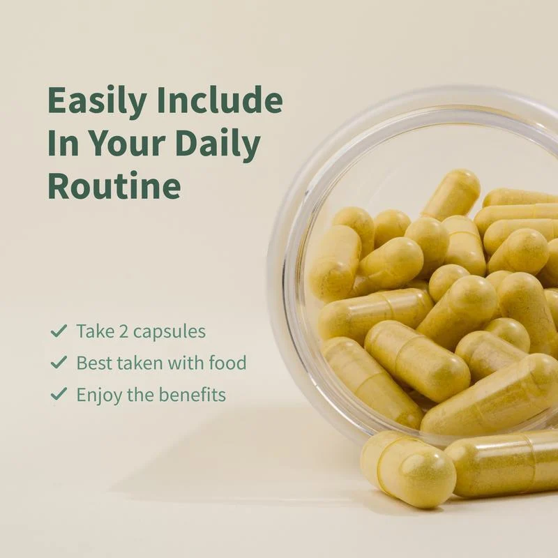Cholesterol Health Supplement with Berberine & Milk Thistle for Heart Support 60 Capsules 13 cholesterol health berberine milk thistle capsules goo ewspnqmv desc 7