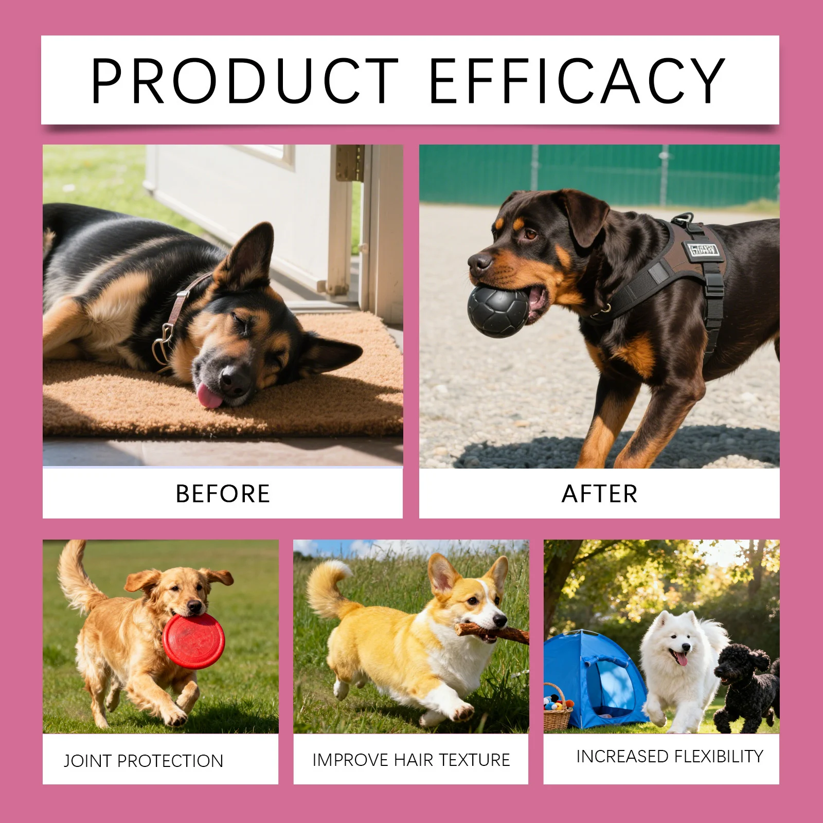 Kriath Dog Collagen Drops for Joint Care, Healthy Skin & Shiny Coat 16 dog collagen liquid drops goo u2d6ddyj desc 11