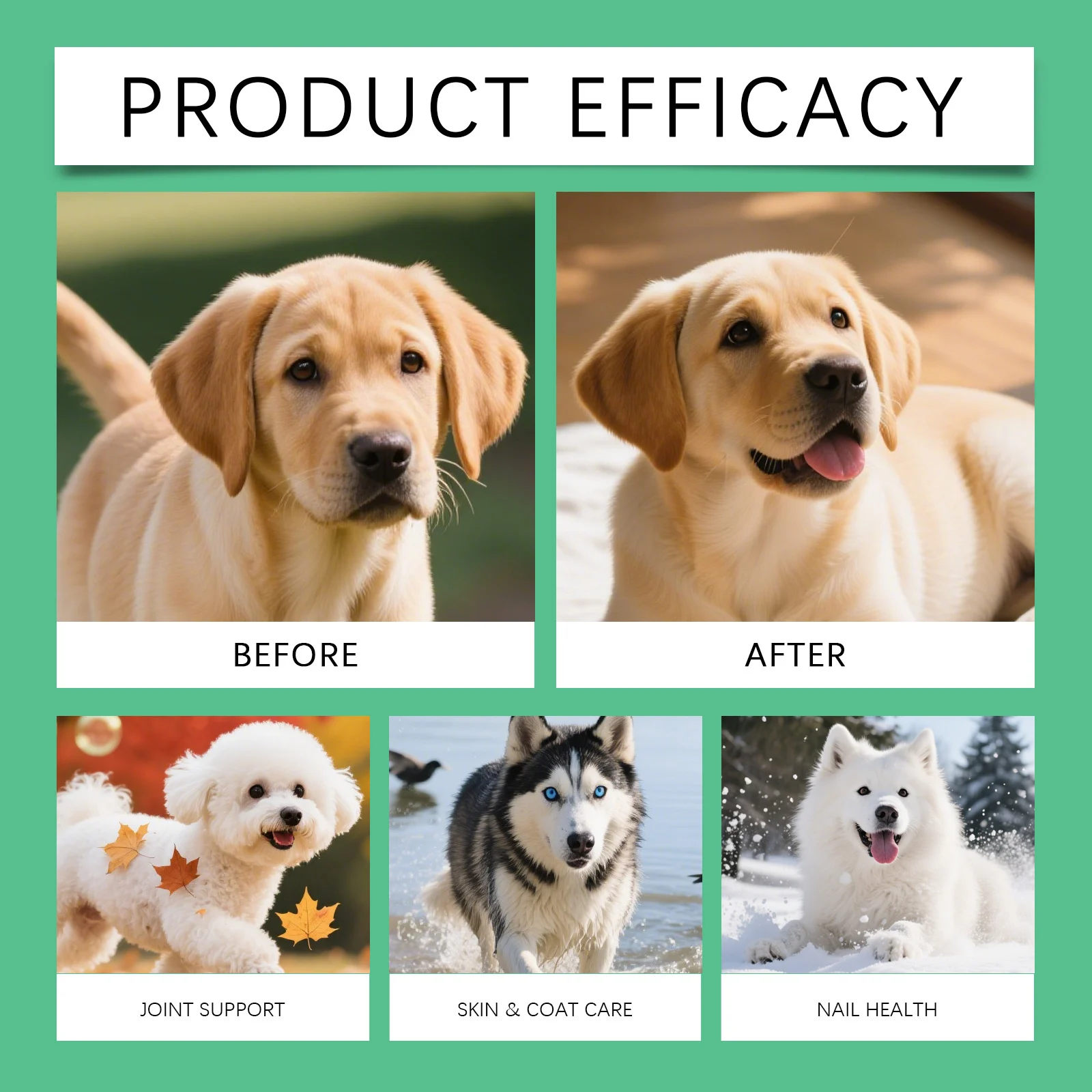 Kriath Collagen Drops for Dogs with Glucosamine & Chondroitin | Joint & Skin Health 16 dog collagen liquid drops goo us99nydj desc 11