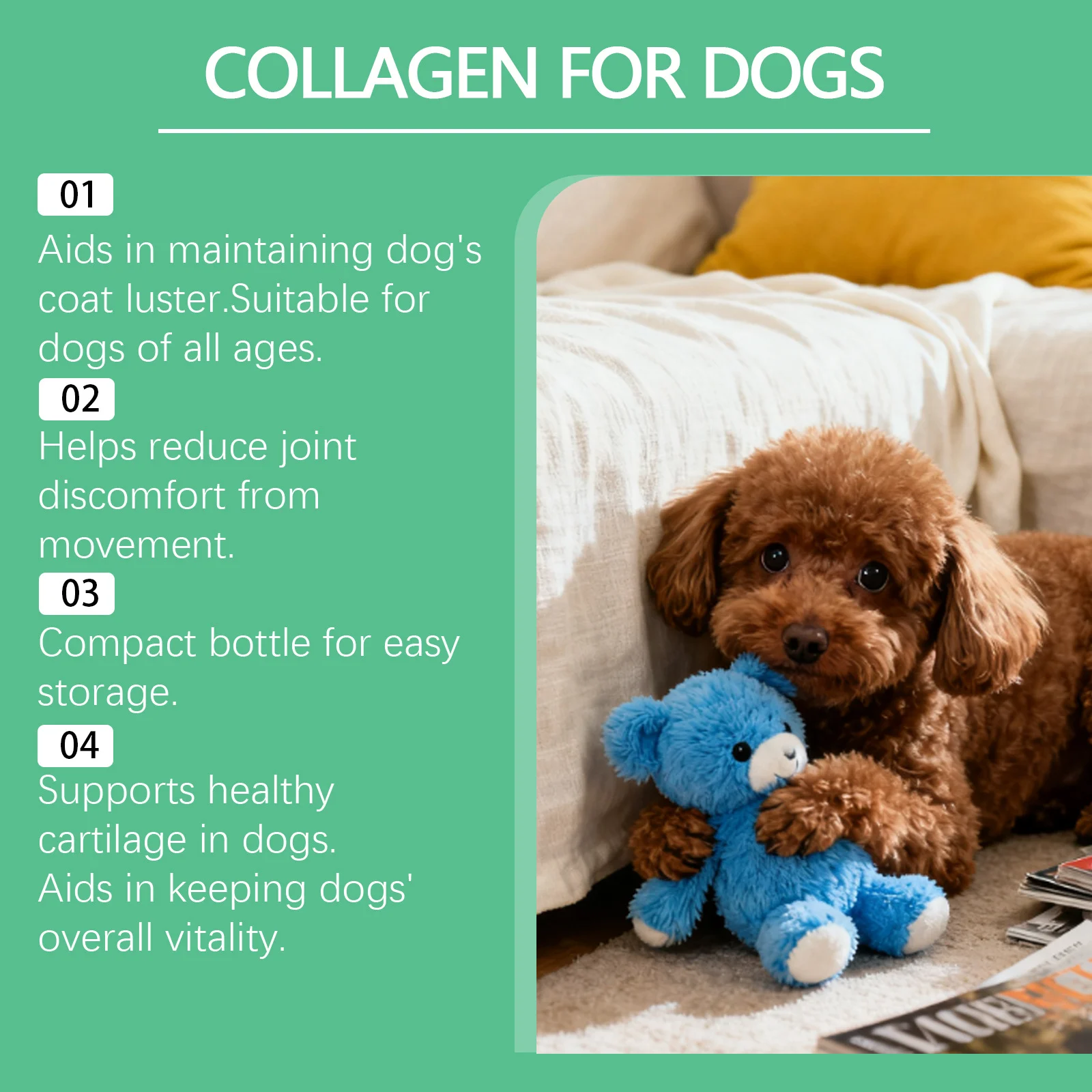 Kriath Collagen Drops for Dogs with Glucosamine & Chondroitin | Joint & Skin Health 13 dog collagen liquid drops goo us99nydj desc 8