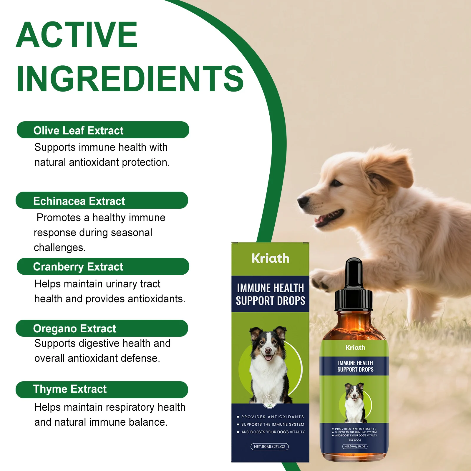 Kriath Immune Health Support Drops for Dogs with Olive Leaf & Echinacea Extract 6 dog immune health support drops goo v9h44bet desc 2