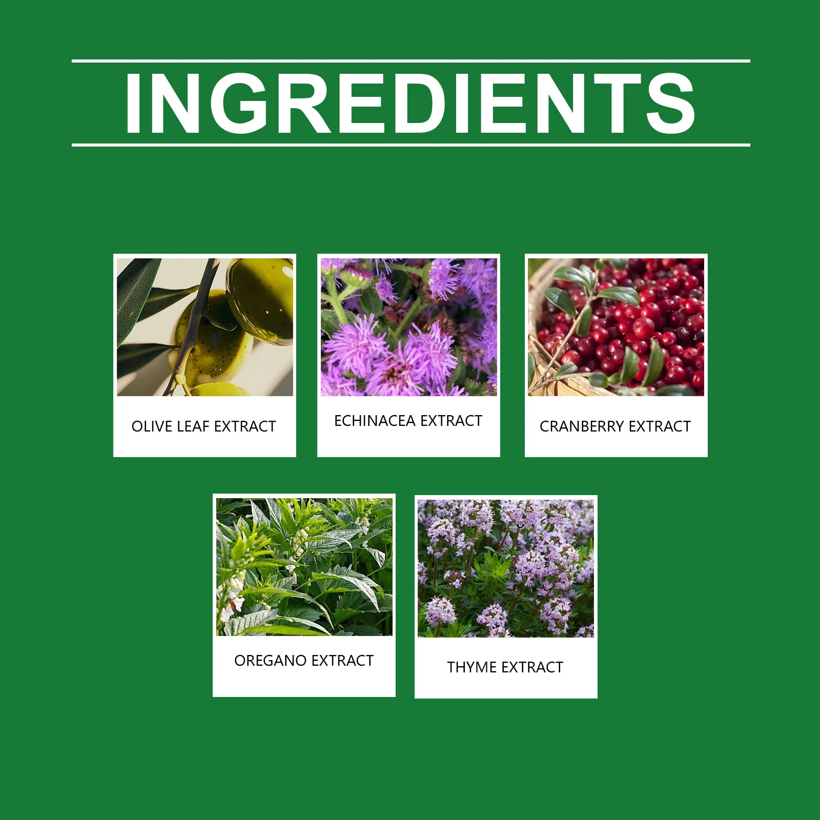 Kriath Immune Health Support Drops for Dogs with Olive Leaf & Echinacea Extract 7 dog immune health support drops goo v9h44bet desc 3