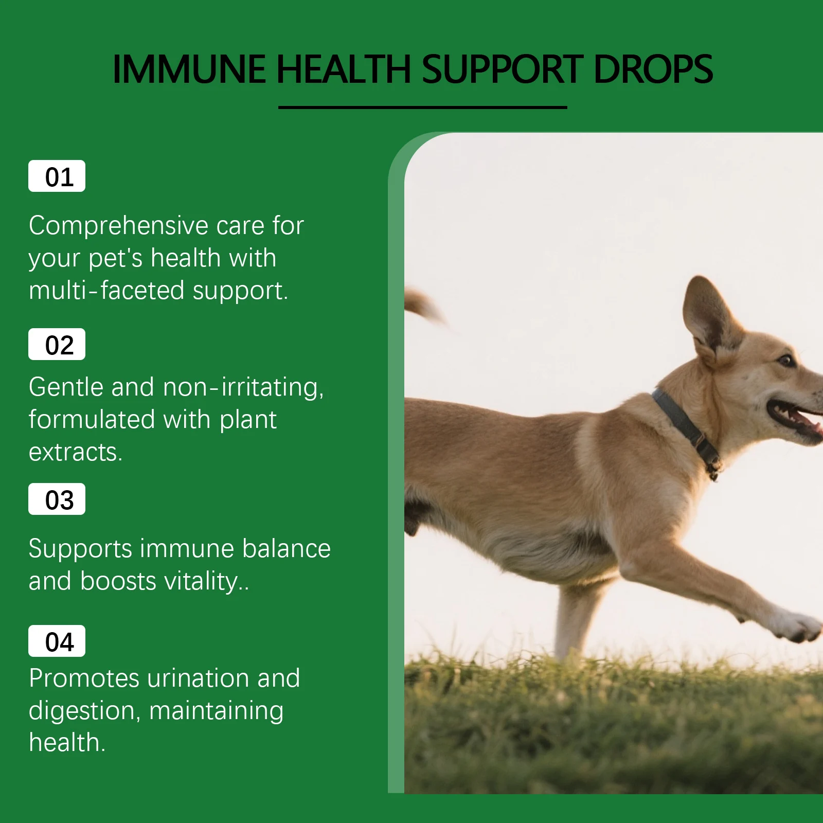 Kriath Immune Health Support Drops for Dogs with Olive Leaf & Echinacea Extract 12 dog immune health support drops goo v9h44bet desc 8