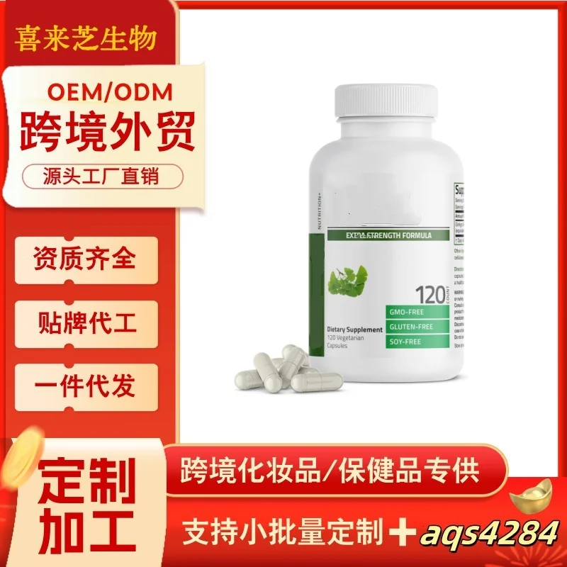 Ginkgo Biloba Capsules for Memory Support and Brain Health - 240 Count Vitamin & Mineral Blend