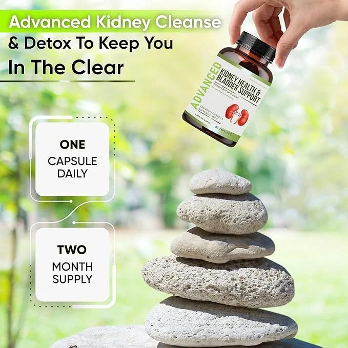 Kidney Support Supplement for Bladder Health & Detox - Cranberry Extract & Astragalus Root Capsules (60 Count)