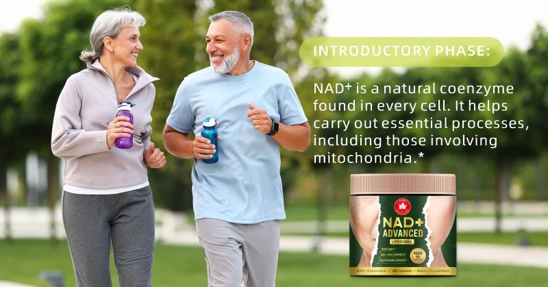 NAD+ Resveratrol Capsules Liposomal Supplement for Anti-Aging and Cellular Health - 1000mg (120 Count) 8 liposomal nad resveratrol capsules supplement goo ez6hruxe desc 3