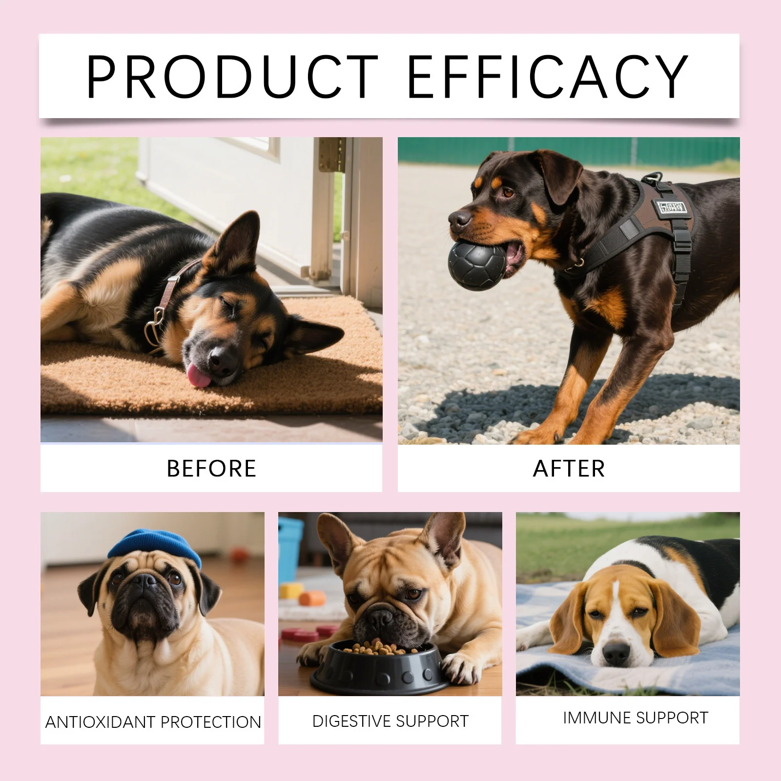 Kriath Grass-Fed Liquid Collagen Drops for Dogs - Joint, Skin & Coat Support 17 liquid collagen drops dogs goo 3unpzx3t desc 12