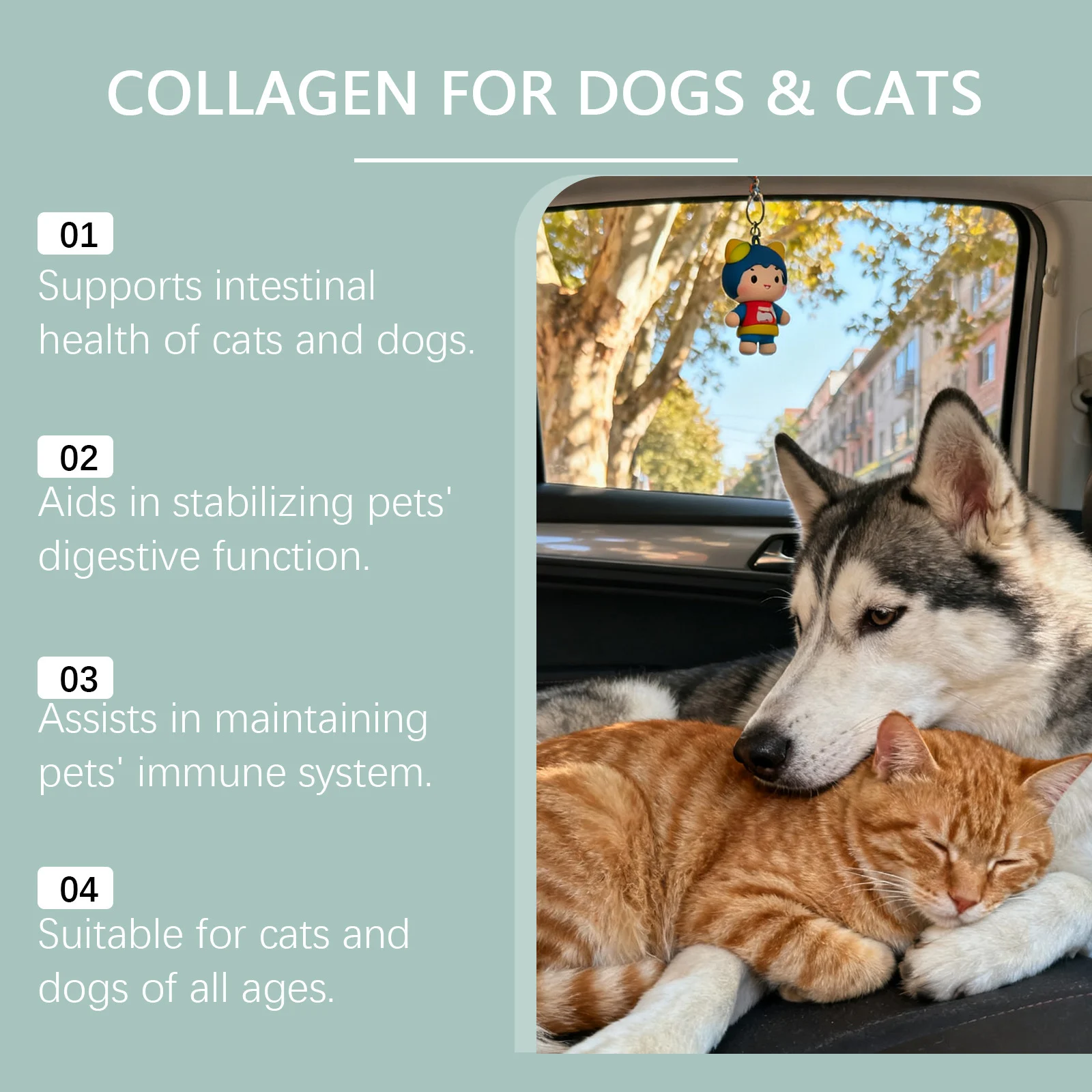 Kriath Liquid Collagen Drops for Dogs & Cats, Supports Digestion, Coat & Joint Health 13 liquid collagen drops pets goo n6nmqeun desc 8