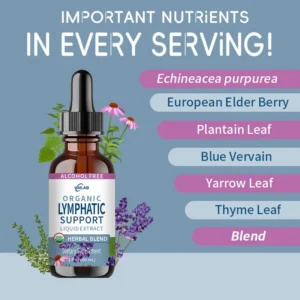 Lymphatic Support Echinacea Drops 60ml Alcohol-Free Herbal Extract Liquid Dietary Supplement