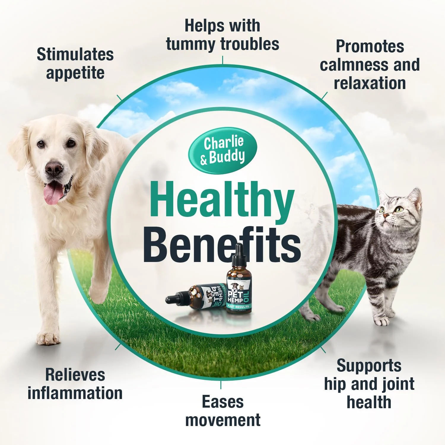 Hemp Oil for Dogs and Cats Anxiety Relief & Joint Support with Omega 3-6-9 & Vitamins 30ml 14 pet hemp oil anxiety relief drops goo 4w2j4sjp desc 8