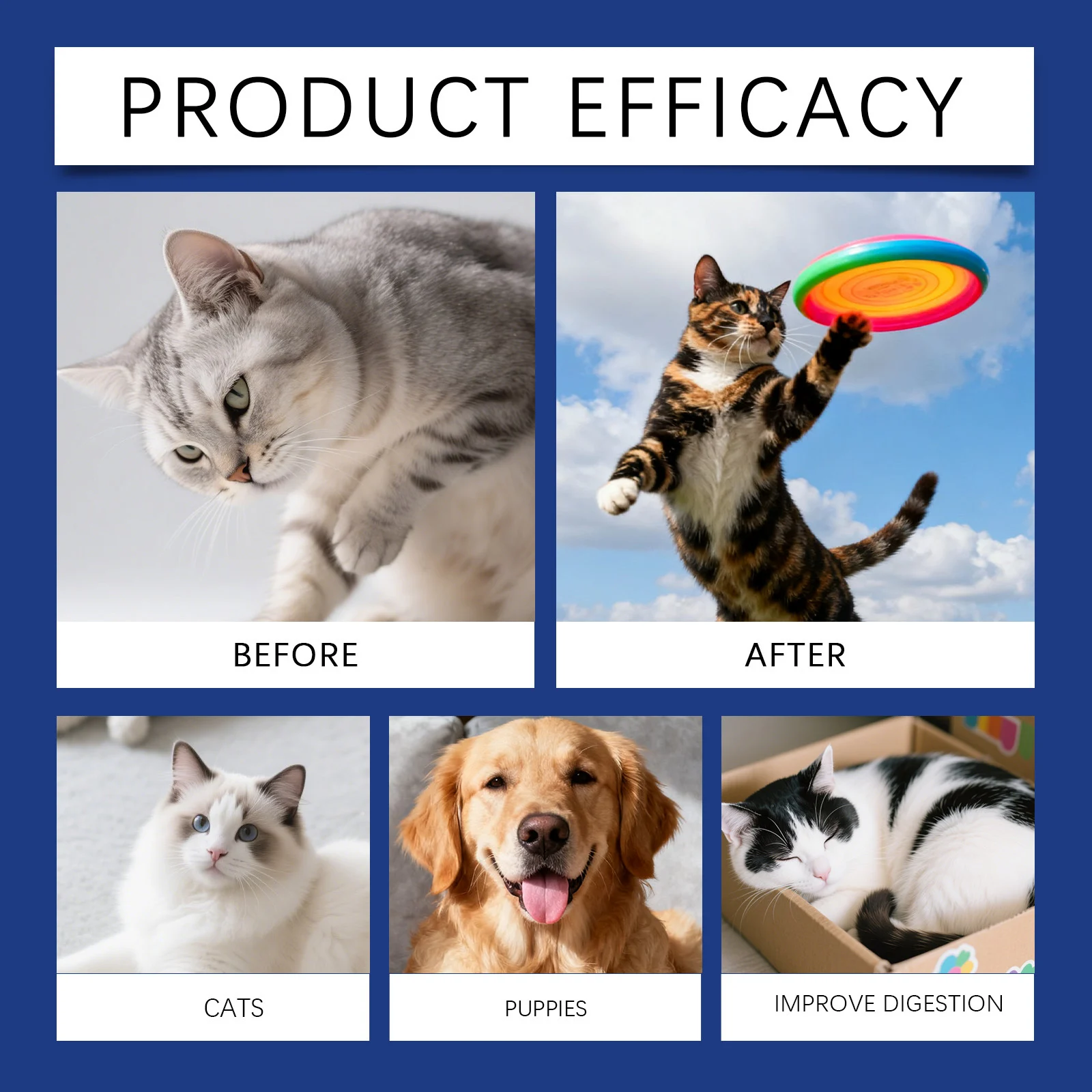 Kriath Probiotic & Prebiotic + Enzymes Drops for Dogs & Cats, 60ml 17 probiotic drops pets goo 25zpasfa desc 11