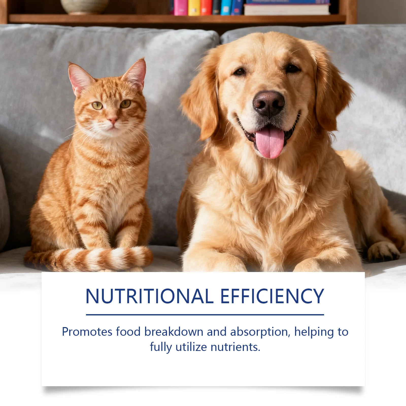 Kriath Probiotic & Prebiotic + Enzymes Drops for Dogs & Cats, 60ml 12 probiotic drops pets goo 25zpasfa desc 6