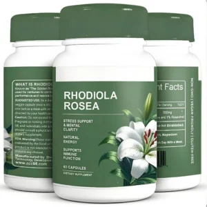 Rhodiola Rosea Capsules 500mg for Stress Support & Mental Clarity - 60 Count Dietary Supplement