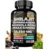 Shilajit Capsules 60 Caps/Bottle