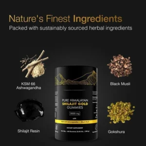 Shilajit Gummies 3000mg Pure Himalayan Shilajit Gold with Ashwagandha & KSM-66 for Energy and Vitality