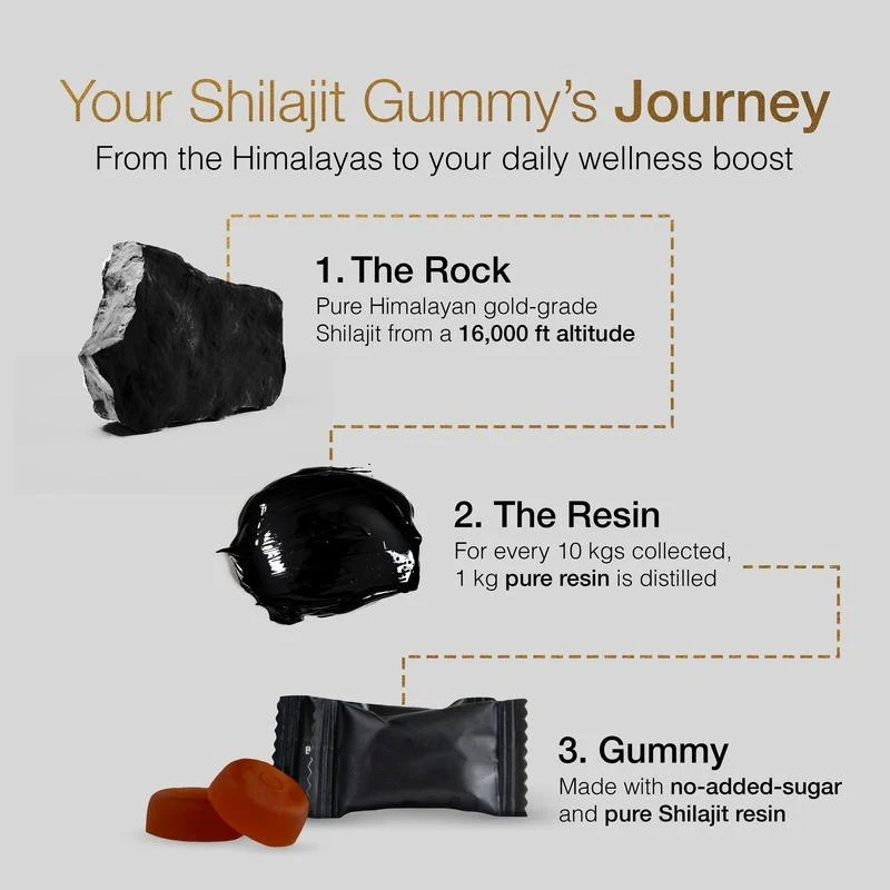 Shilajit Gummies for Energy and Vitality - Gold Grade Himalayan Resin 60 Count